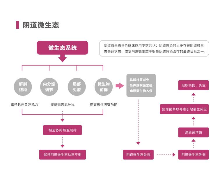 全自动阴道炎91视频黄色版下载LTS-V400阴道微生态系统